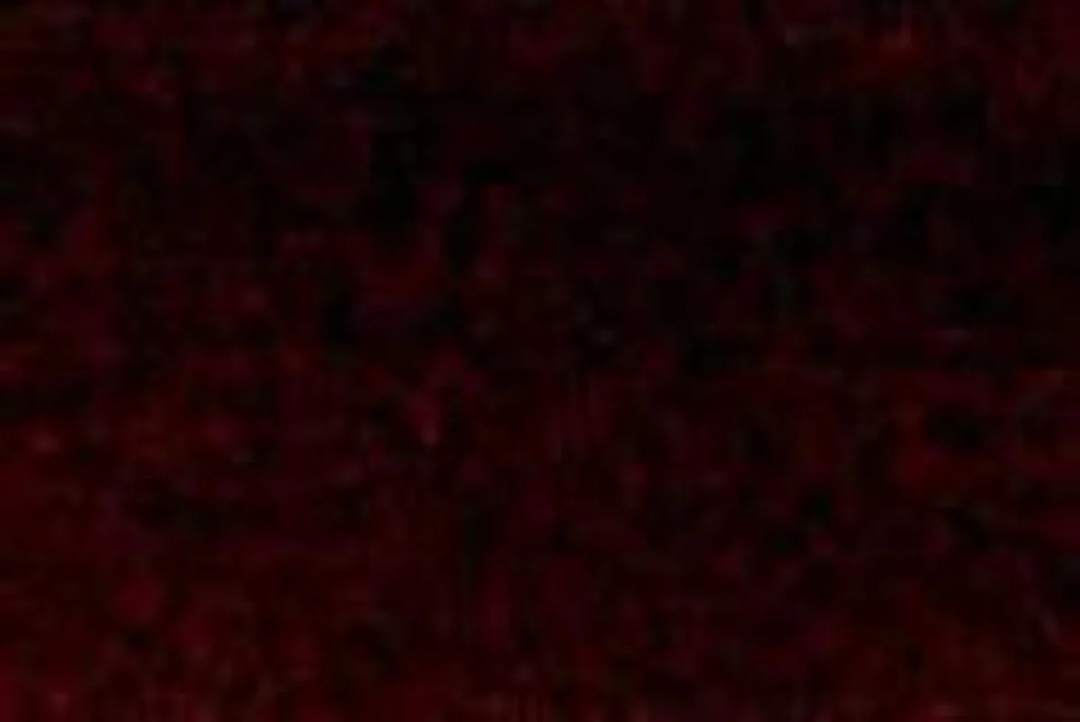 Thumbnail 28