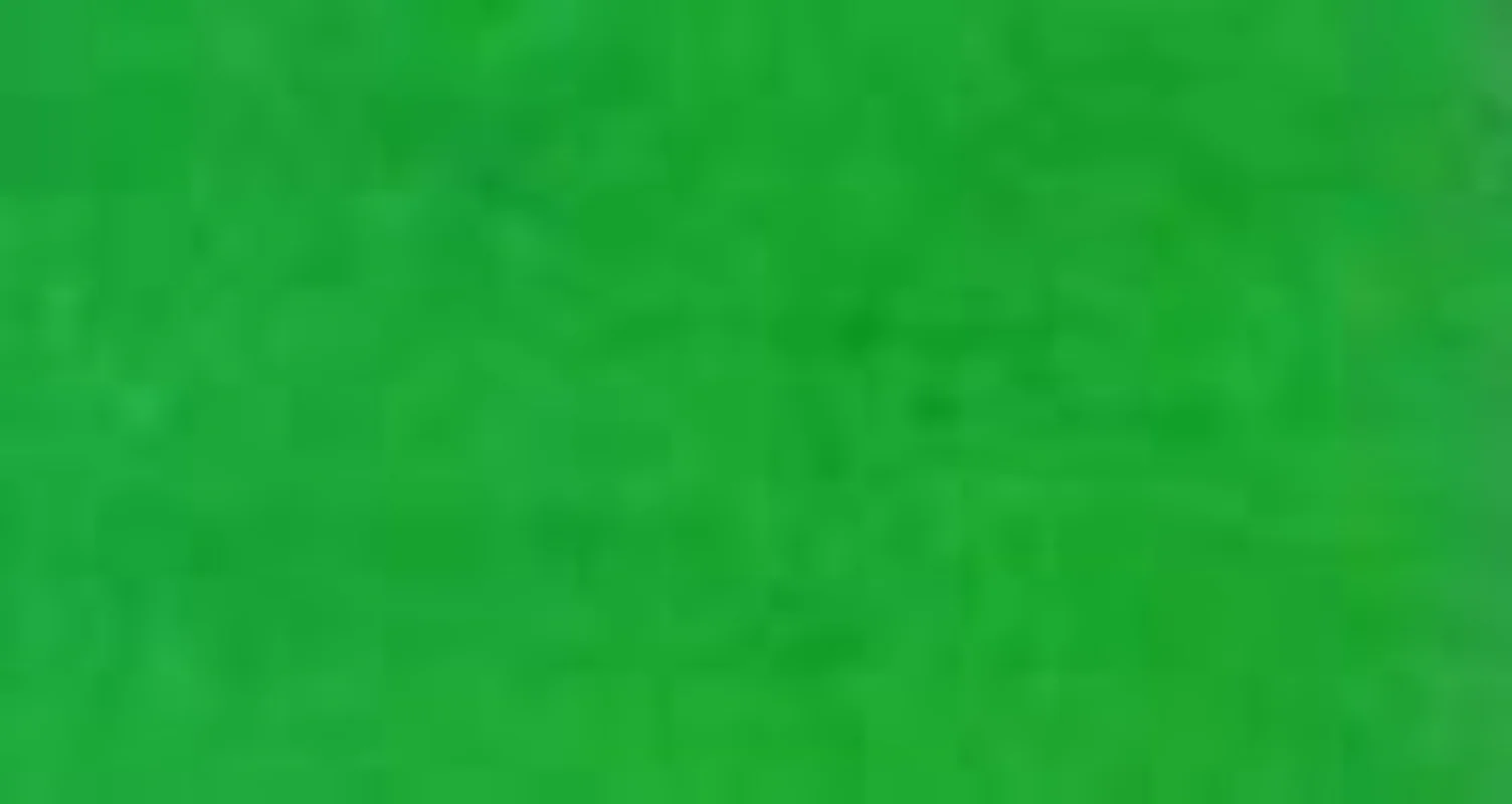 Thumbnail 35