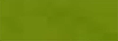 Thumbnail 21
