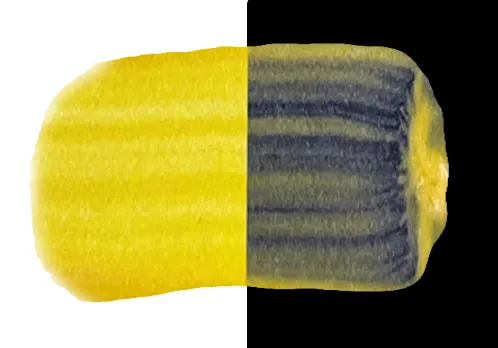 Thumbnail 100