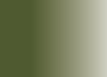 Thumbnail 21