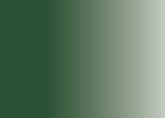 Thumbnail 22