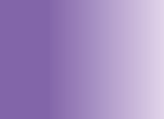 Thumbnail 25