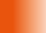 Thumbnail 36