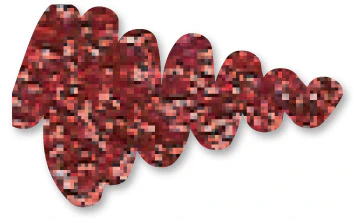 Thumbnail 22