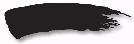 Thumbnail 19