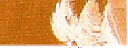 Thumbnail 38