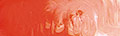 Thumbnail 22