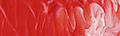 Thumbnail 27